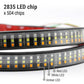 LED strip with 2835 LED chips and color identification labels on a white background
