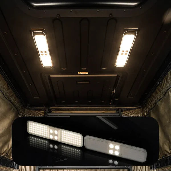 Ceiling lights and undercarriage lights in a vehicle interior